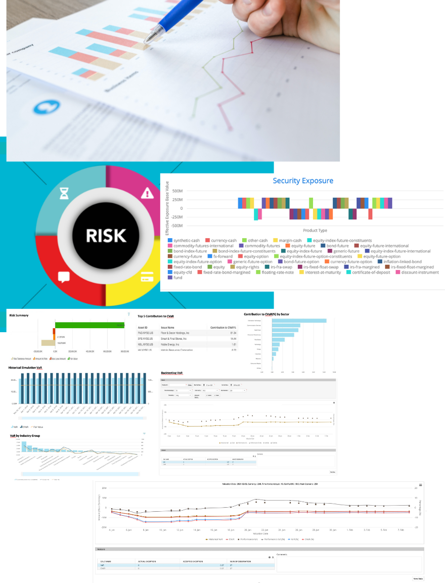 Dolphin-Risk Dashboard
